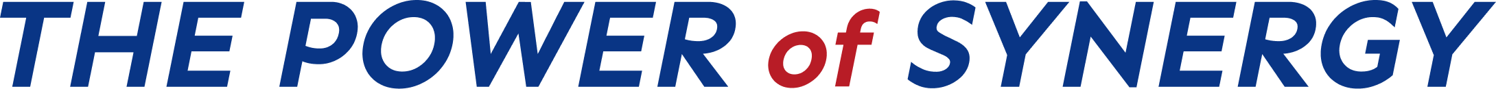 THE POWER of SYNERGY