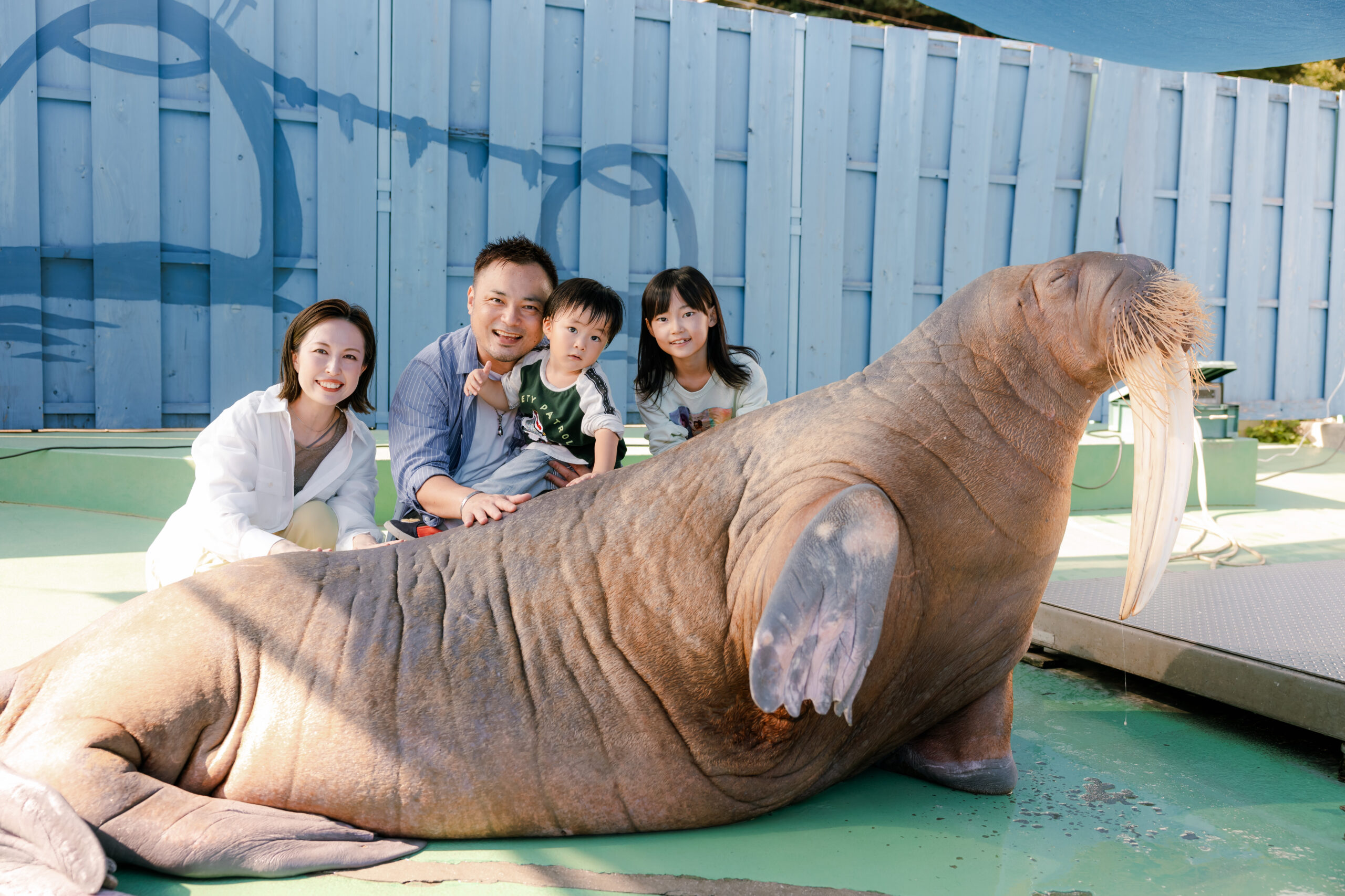 【伊勢シーパラダイス】伊勢ブランド認定「生き物たちとのゼロ距離でふれあい体験」